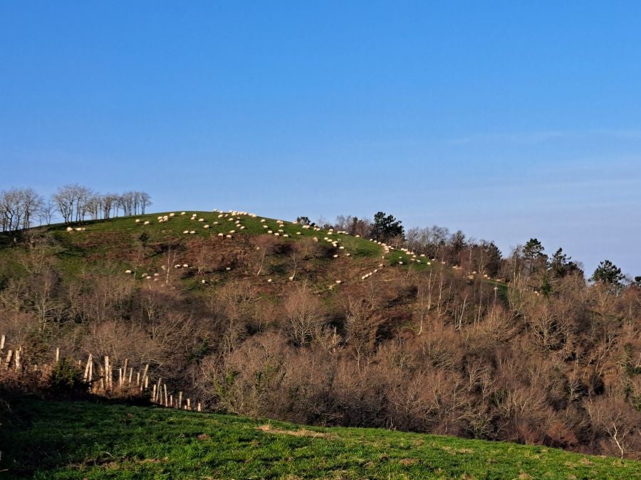 Ezkeltzu, el precioso balcón de Zizurkil