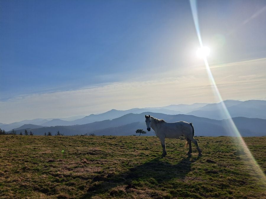 Ezkeltzu, el precioso balcón de Zizurkil