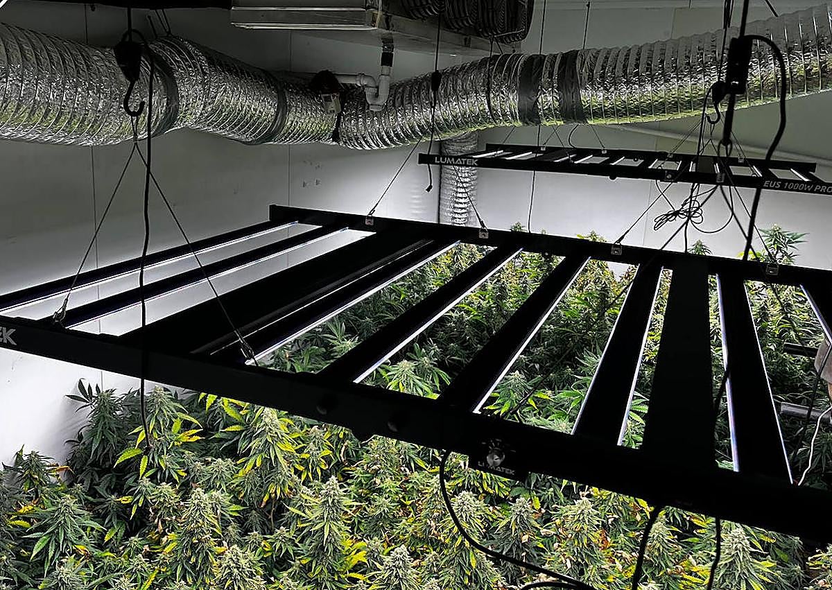 Imagen secundaria 1 - El pabellón contaba con todo tipo de sistemas de iluminación, riego y ventilación.