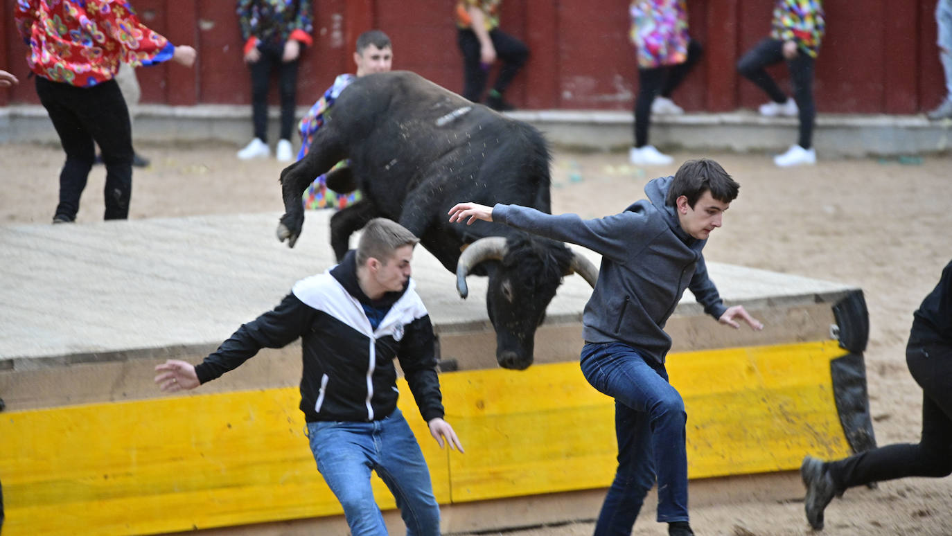 Ya es Carnaval en Tolosa