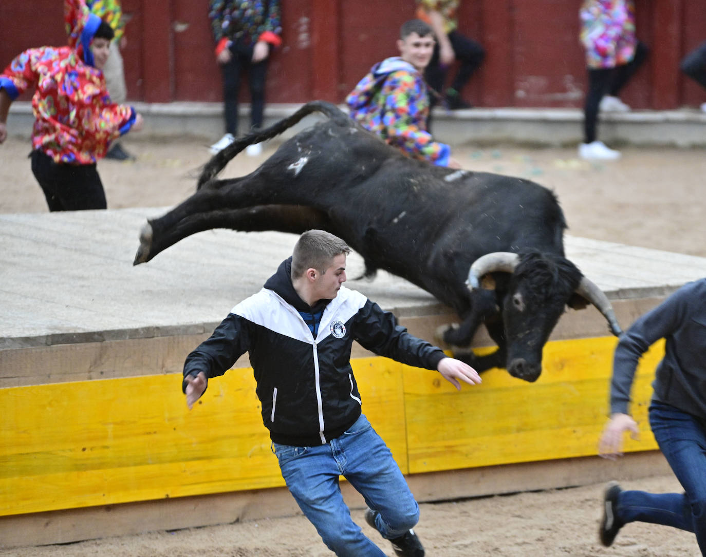 Ya es Carnaval en Tolosa