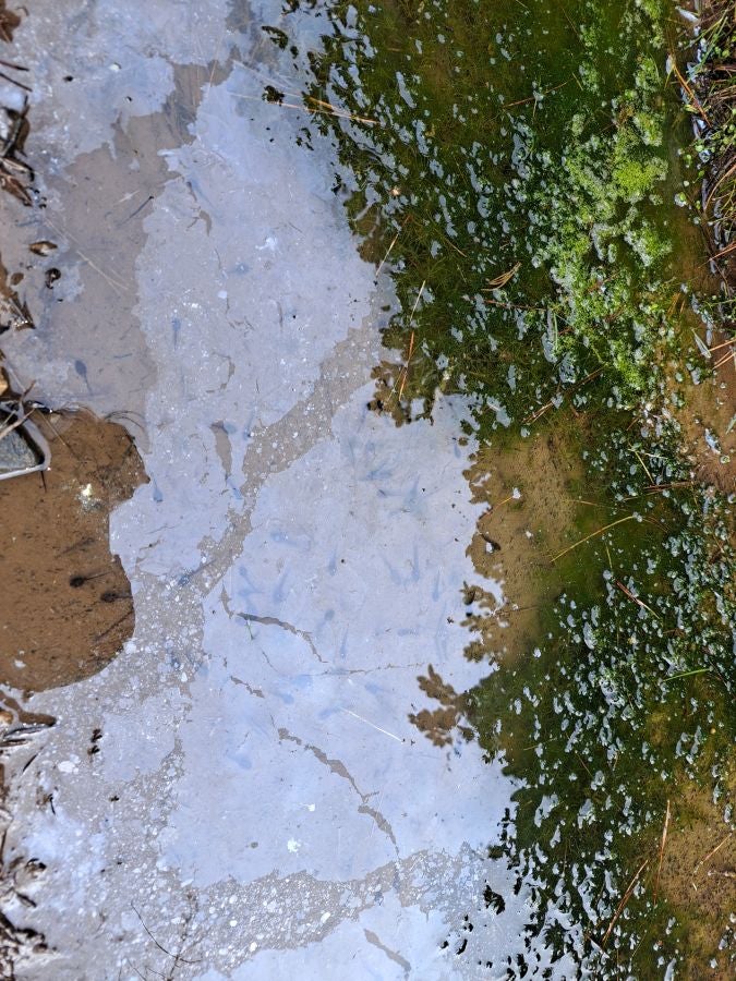 Arranoaitz, un paseo entre cimas