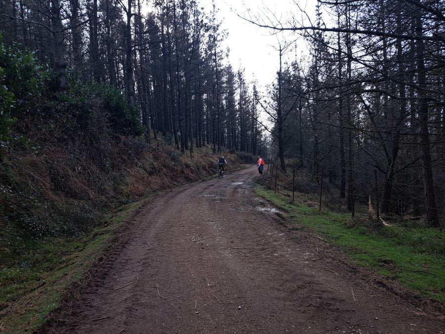 Arranoaitz, un paseo entre cimas