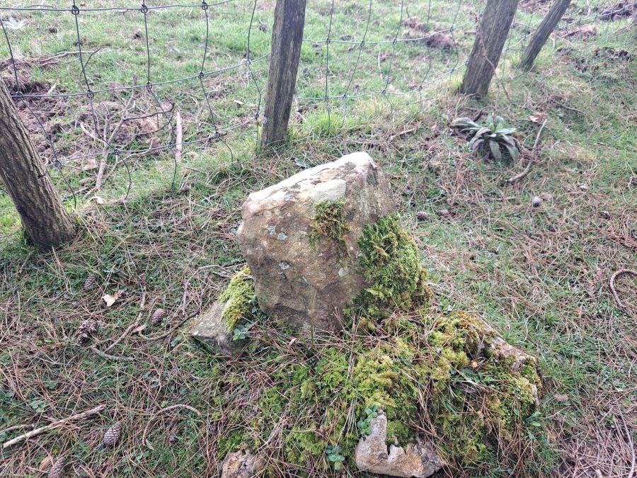 Arranoaitz, un paseo entre cimas