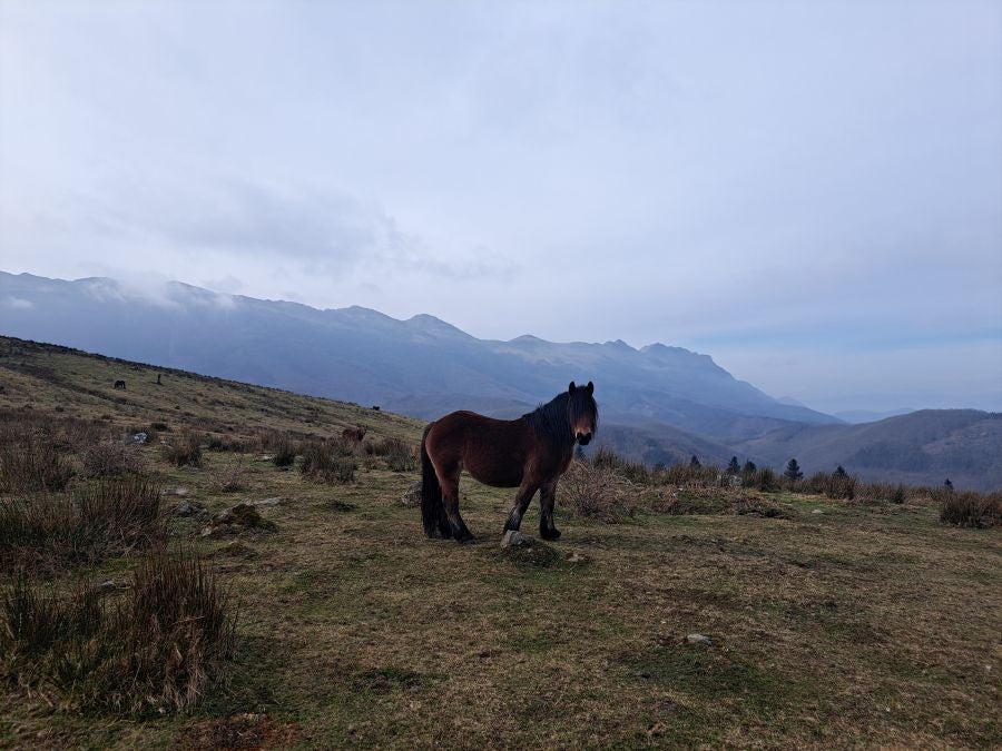 Arranoaitz, un paseo entre cimas
