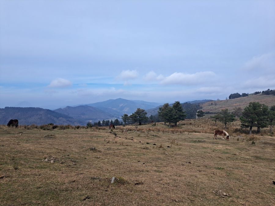 Arranoaitz, un paseo entre cimas