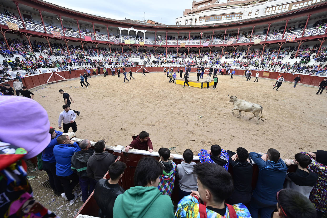 Tolosa disfruta del Viernes Flaco