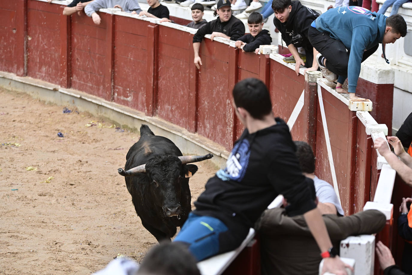 Tolosa disfruta del Viernes Flaco