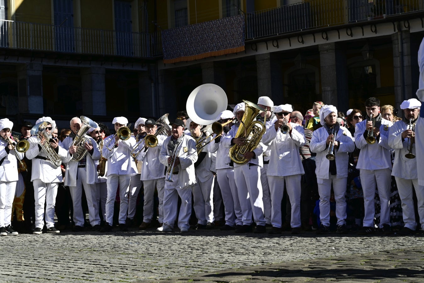 Radiante asteartita en Tolosa