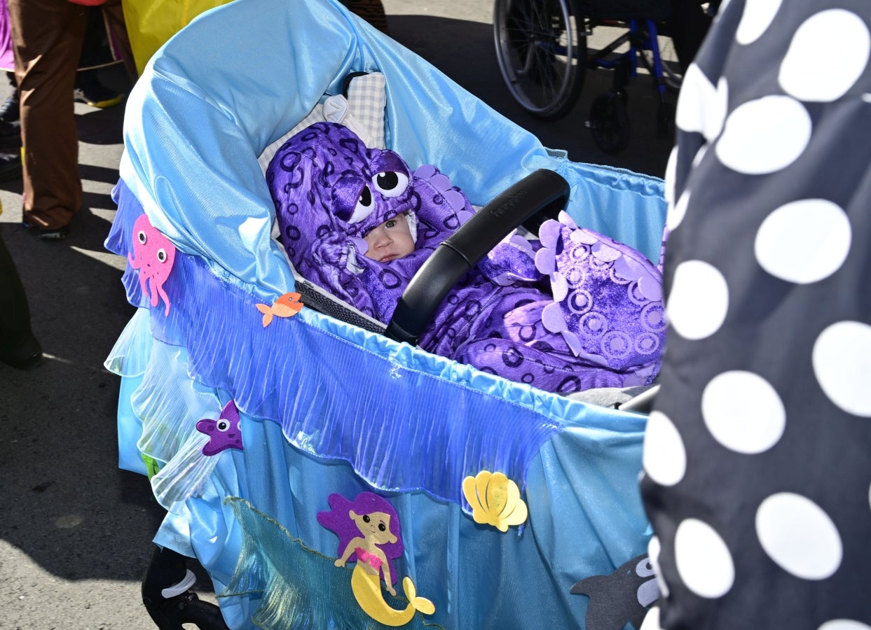 Radiante asteartita en Tolosa