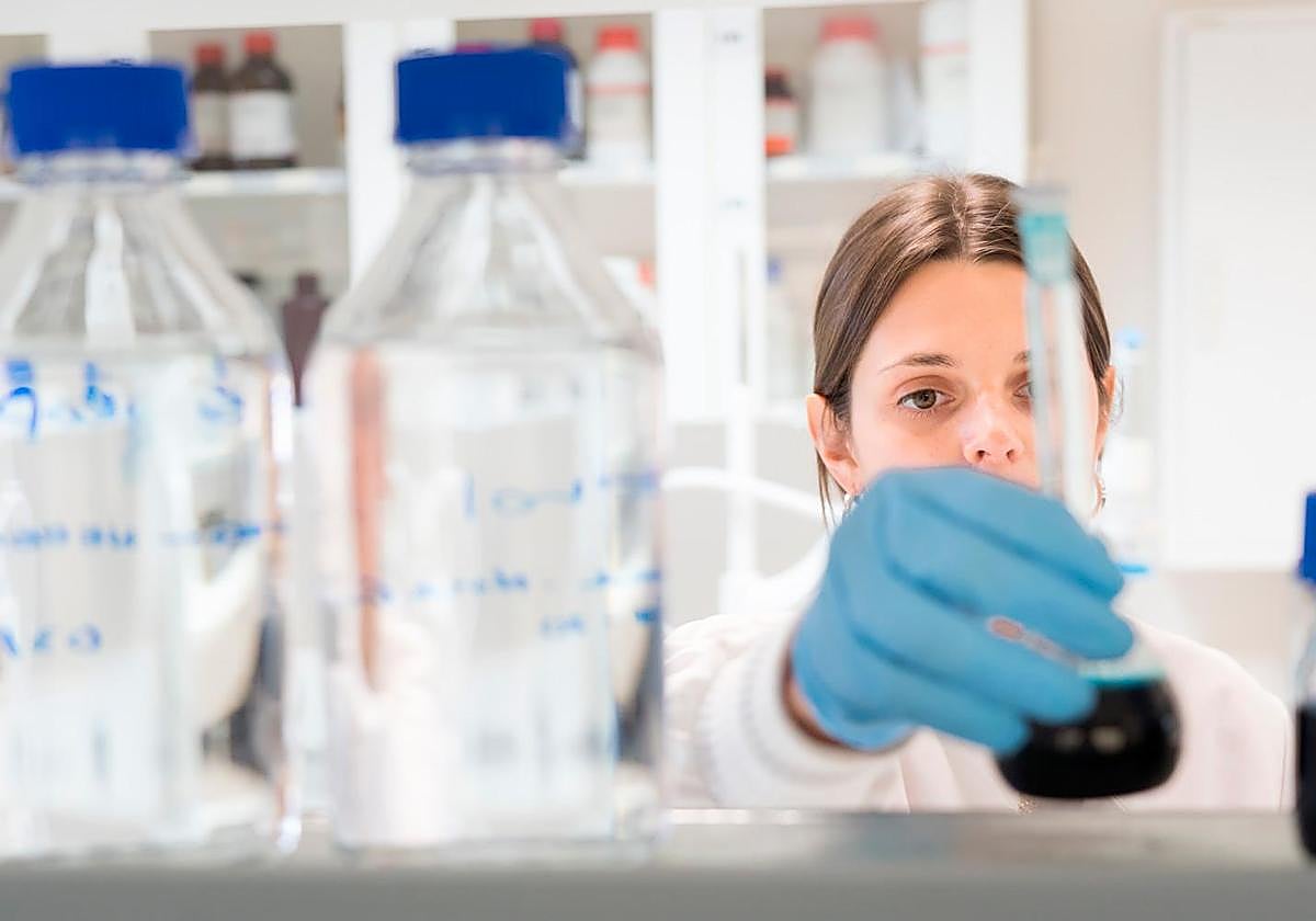 UPV/EHU CoARA Ikerketaren Ebaluazioaren Aurrerapenerako Koaliziora atxiki da