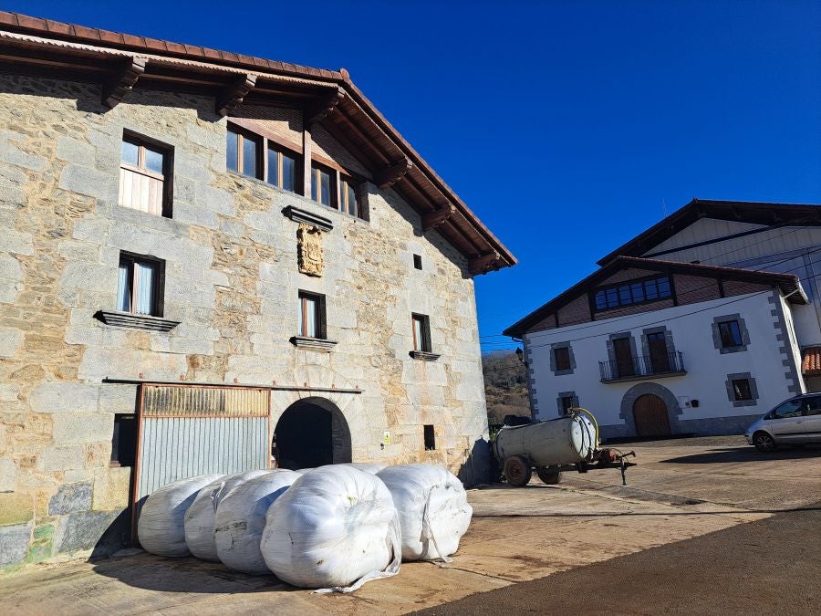 Musaio, al abrigo de las hayas trasmochas