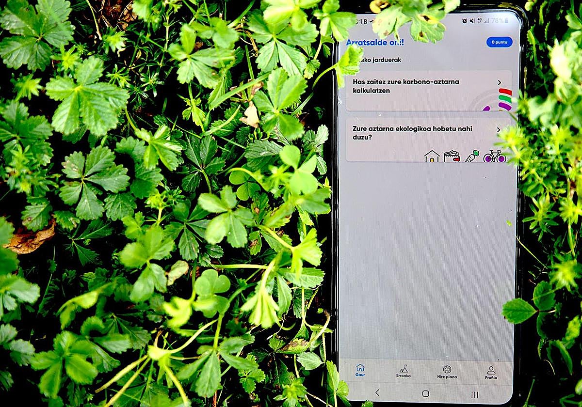 Bilbo - New York arteko 1.280 hegaldiren isurpenen baliokidea murriztu duen proiektua