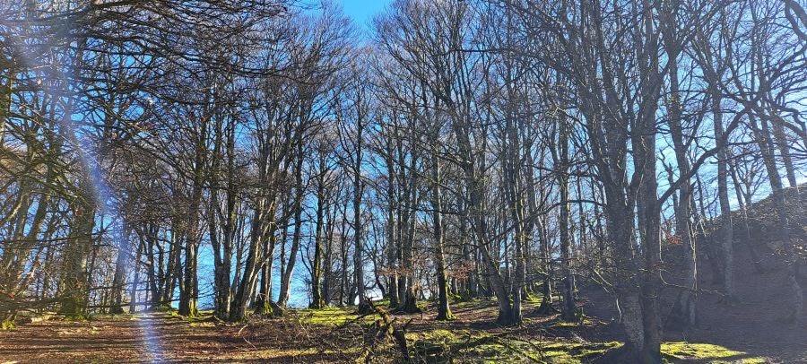 Unas espectaculares vistas desde la cima de Andia