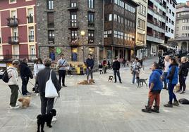 Dueños y canes se reúnen en la plaza del Ayuntamiento para dar inicio a los paseos de socialización.