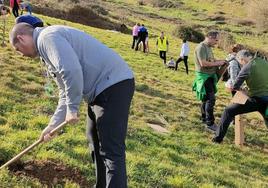 La plantación de árboles es una actividad en la que pueden tomar parta mayores y menores.