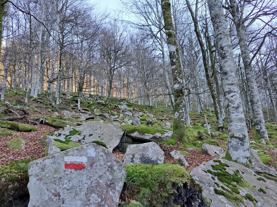 Disfrutando de las vistas desde la cima de Azkenatz