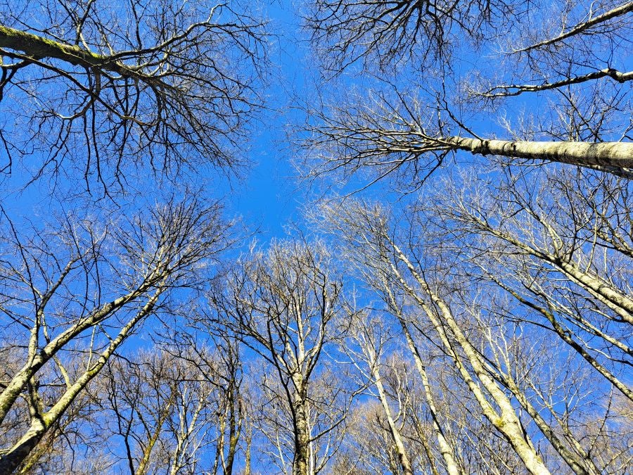 Disfrutando de las vistas desde la cima de Azkenatz