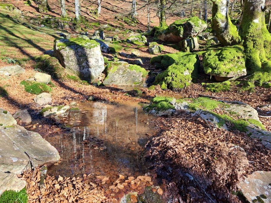 Disfrutando de las vistas desde la cima de Azkenatz