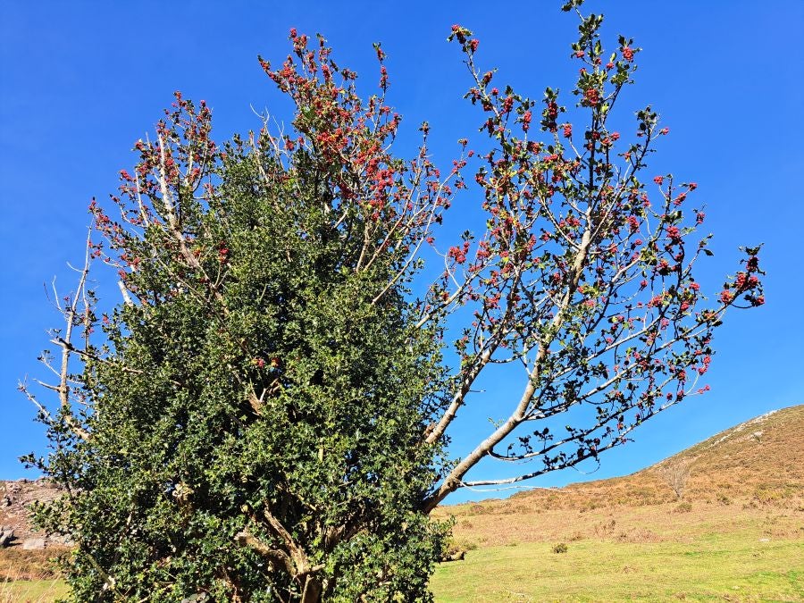 Disfrutando de las vistas desde la cima de Azkenatz
