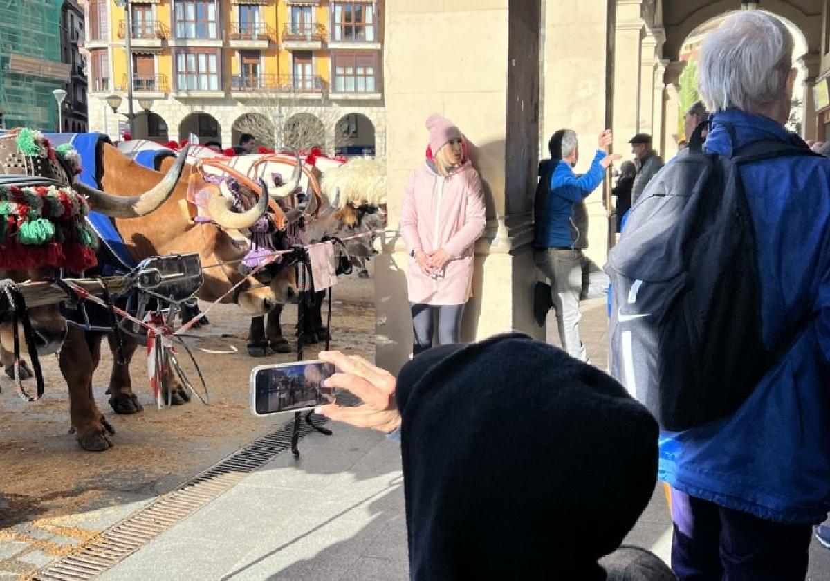 Bonito ambiente baserritarra ayer por la tarde, en la feria de marzo celebrada en la plaza Gernikako Arbola.