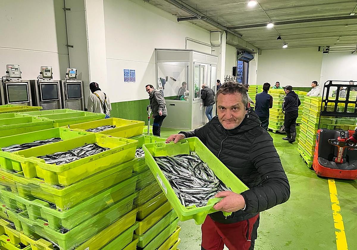 Descarga de anchoa en Ondarroa esta semana.
