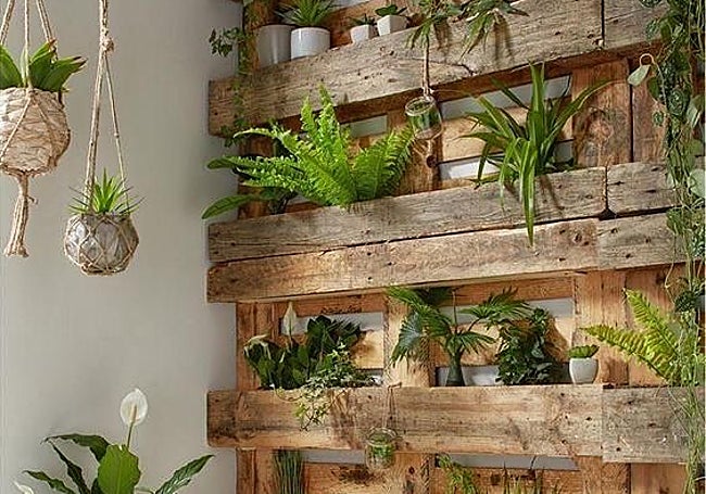 Jardín vertical con marco de madera y plantas