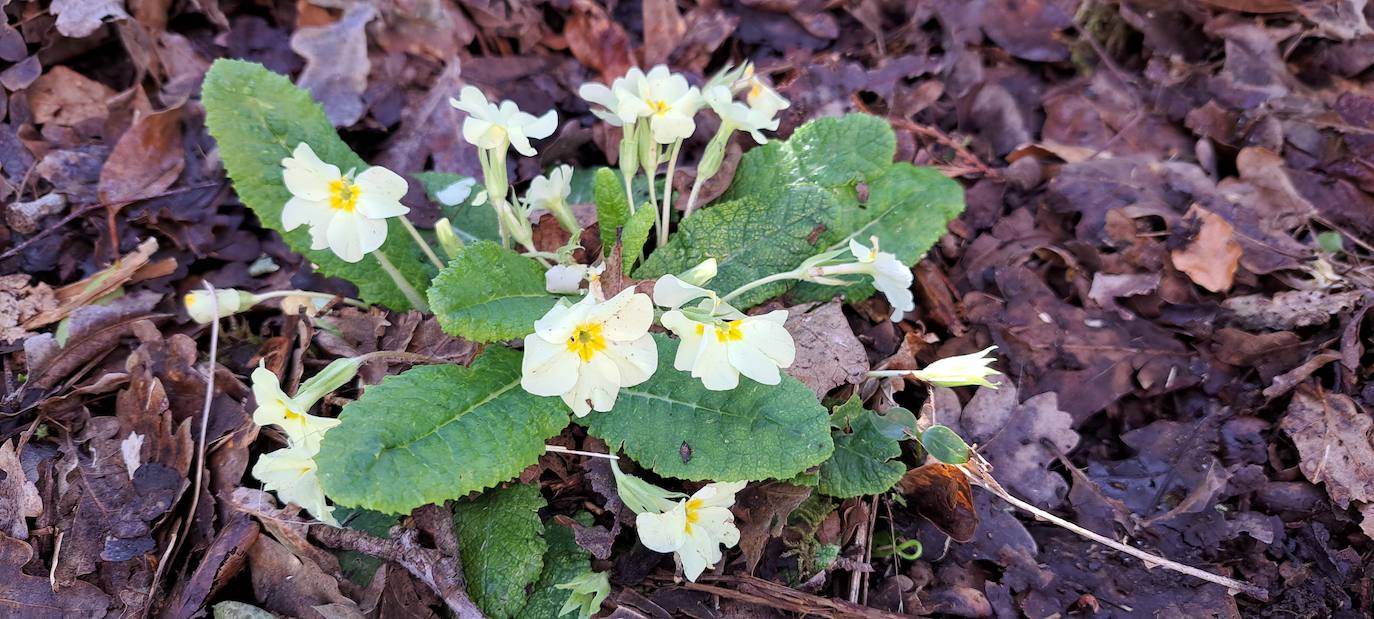 Las mejores imágenes de la salida al monte Akola