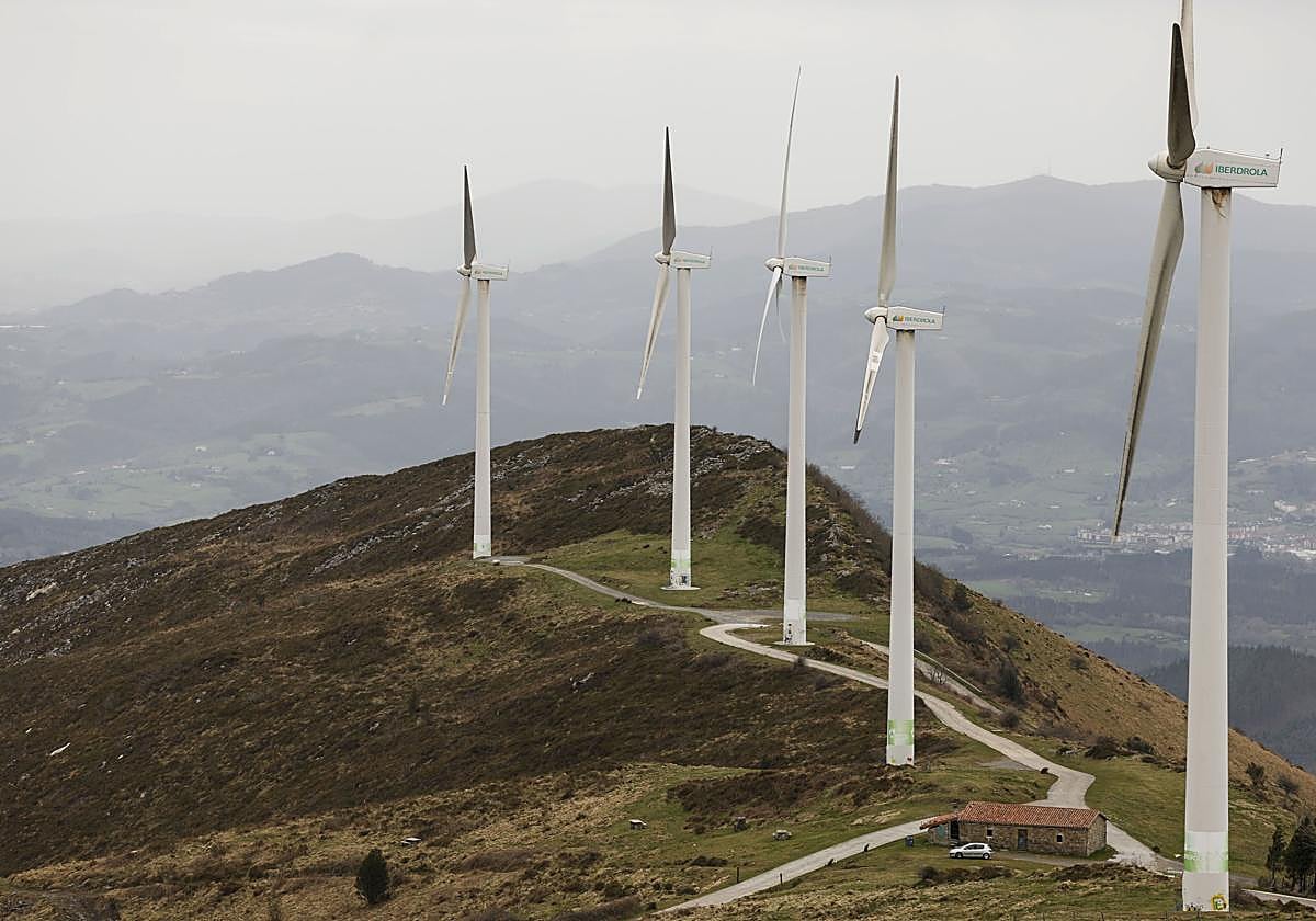 «Hay algunos ecologistas que son retardistas. Otros no»