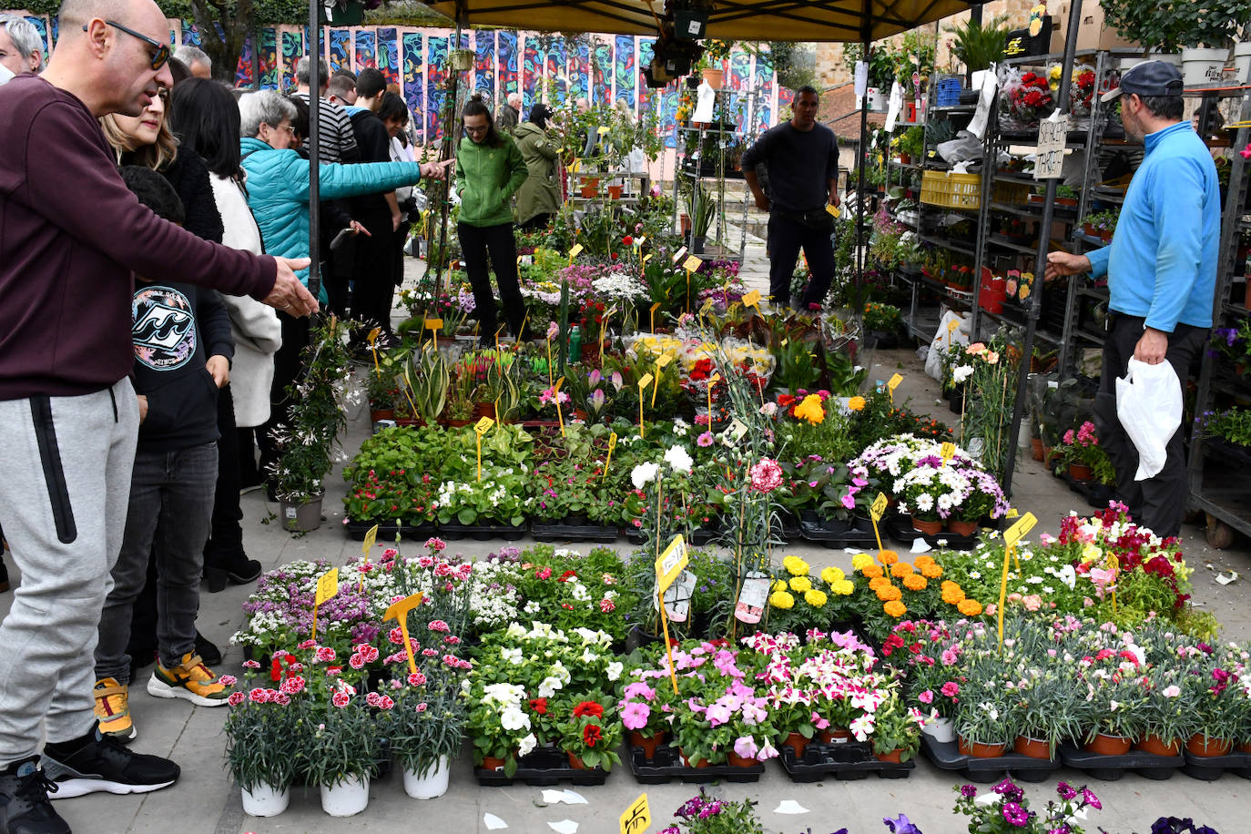 Gran ambiente en la feria de flores y plantas de Segura