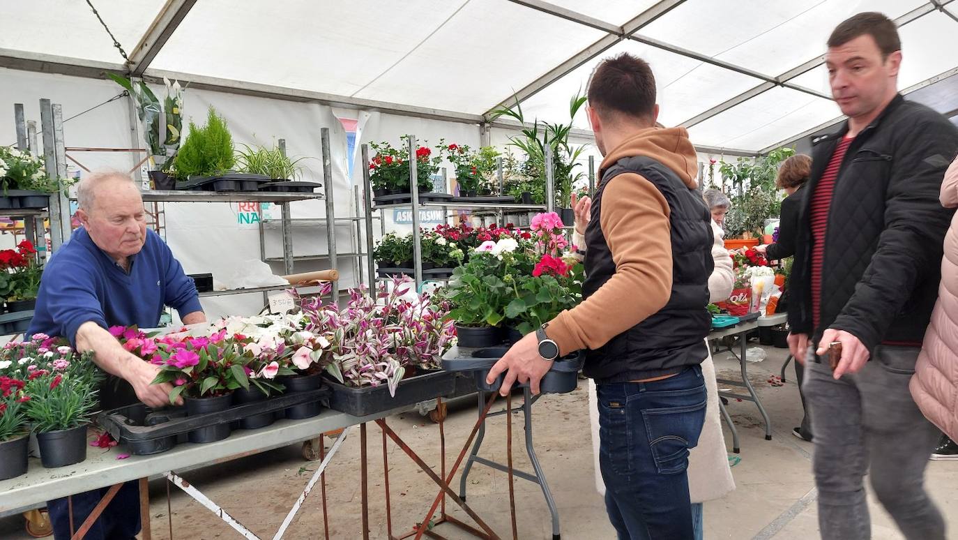 Gran ambiente en la feria de flores y plantas de Segura