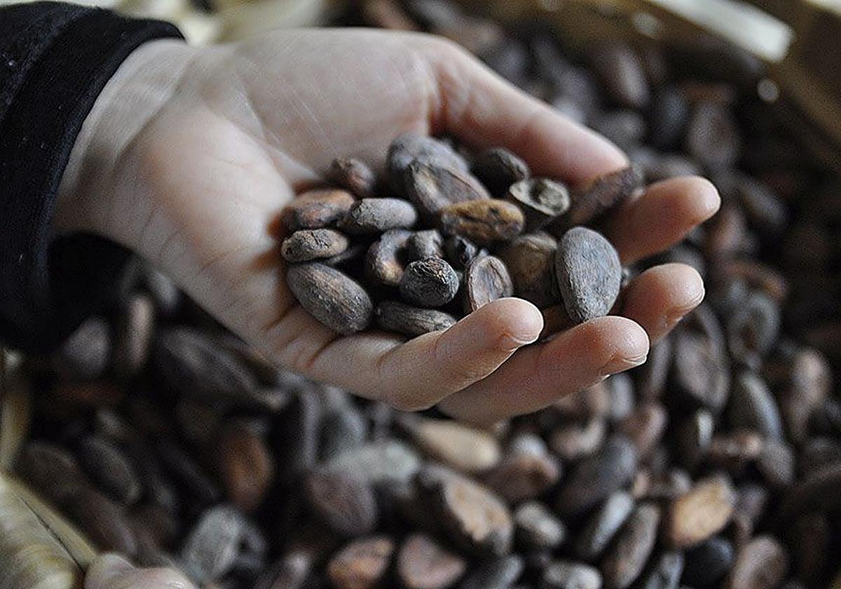 Txokolategintzari ohore San Telmo Museoan