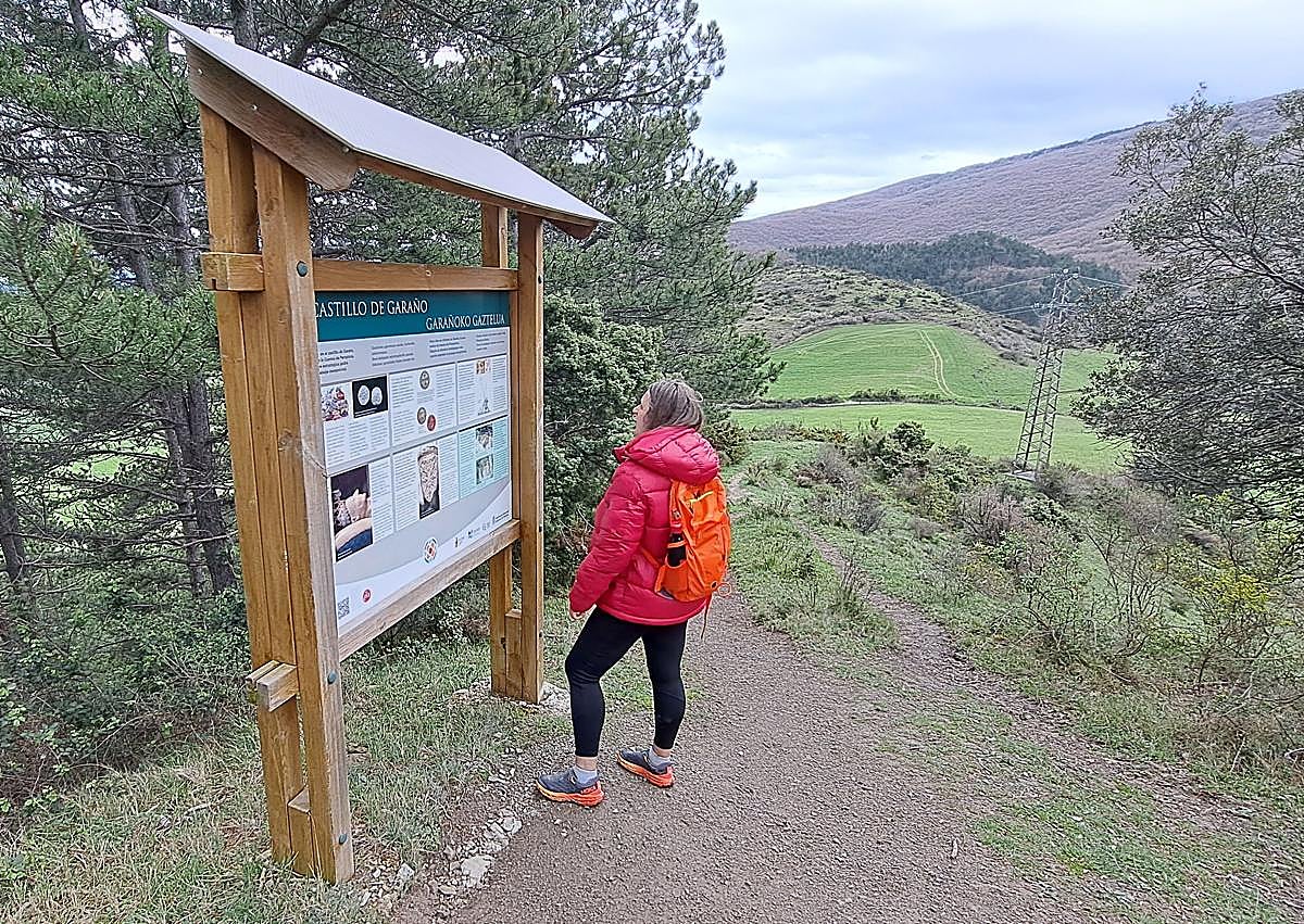 Imagen secundaria 1 - Muros y piedras que delimitan uno de los habitáculos del castillo. No existe buzón en el lato. 