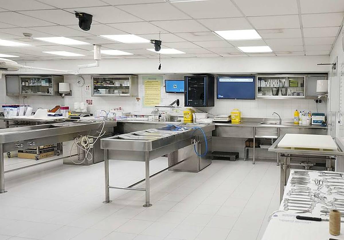 Sala de autopsias del IVML de Gipuzkoa.
