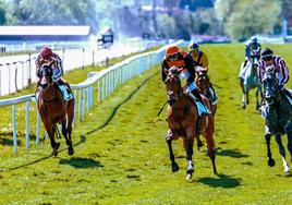 Una de las carreras de la temporada de primavera del año pasado, disputadas en el Hipódromo.