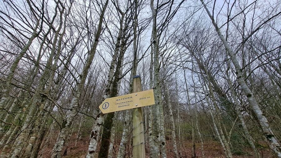 El monumento megalítico sobre la cima de Larrazpil