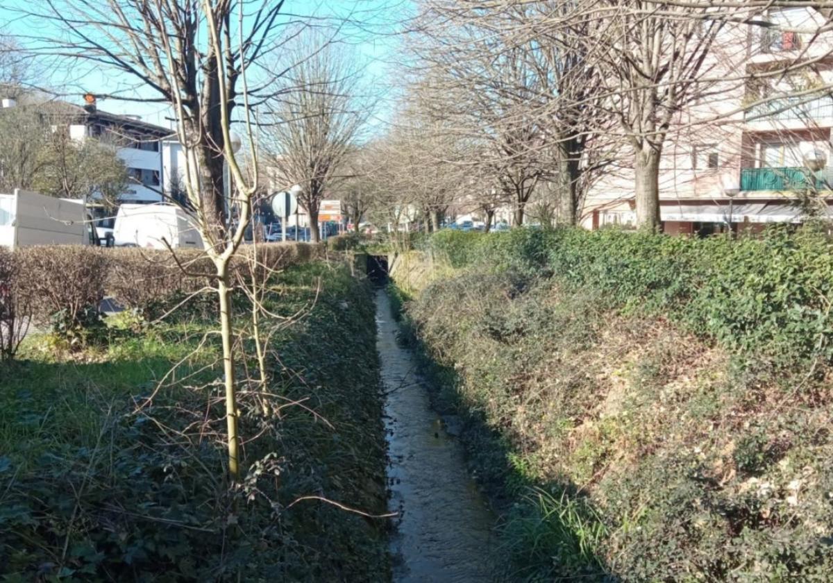 La vegetación existente en el cauce del río en Lopene.