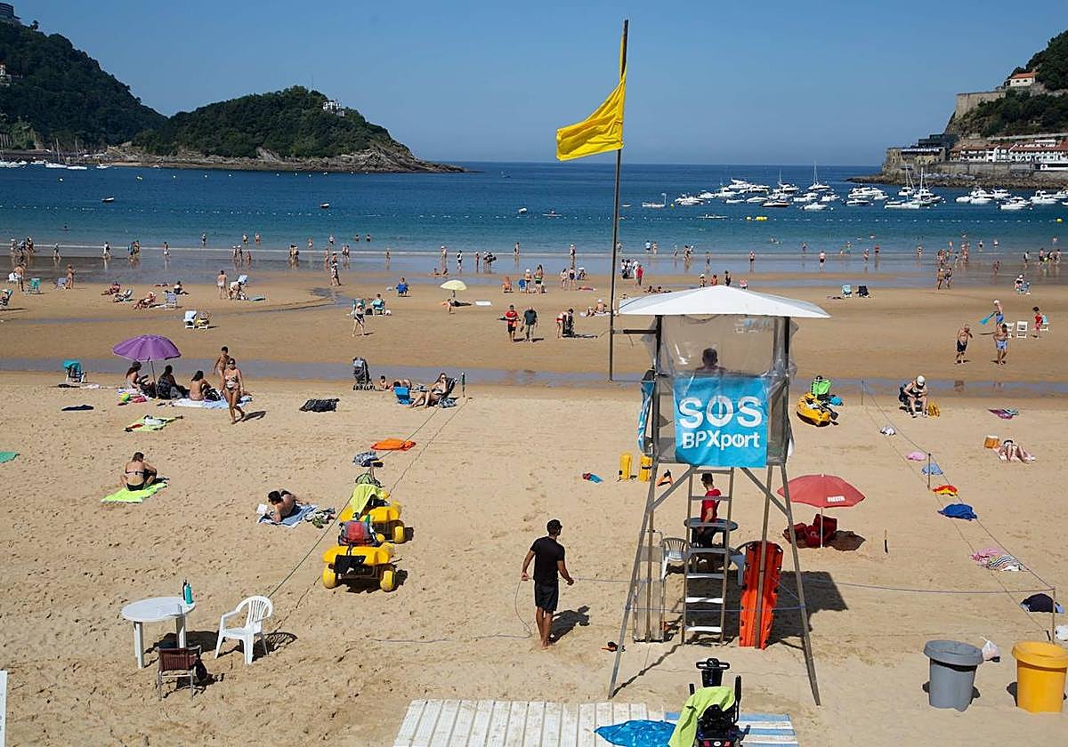 La bandera amarilla ondeó ante la presencia del alga tóxica.