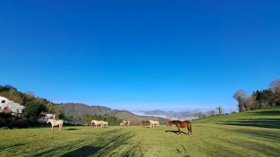 Irukurutzeta, siempre sorprendente