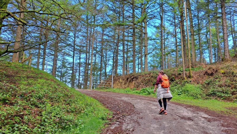 Irukurutzeta, siempre sorprendente