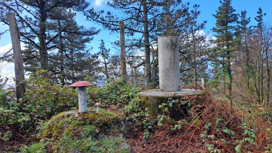 Irukurutzeta, siempre sorprendente