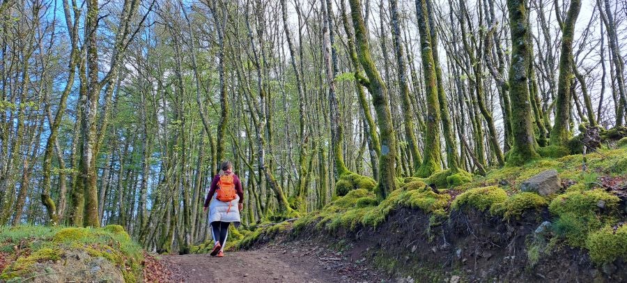 Irukurutzeta, siempre sorprendente