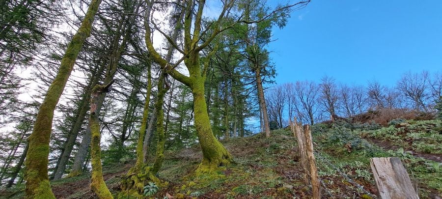 Irukurutzeta, siempre sorprendente