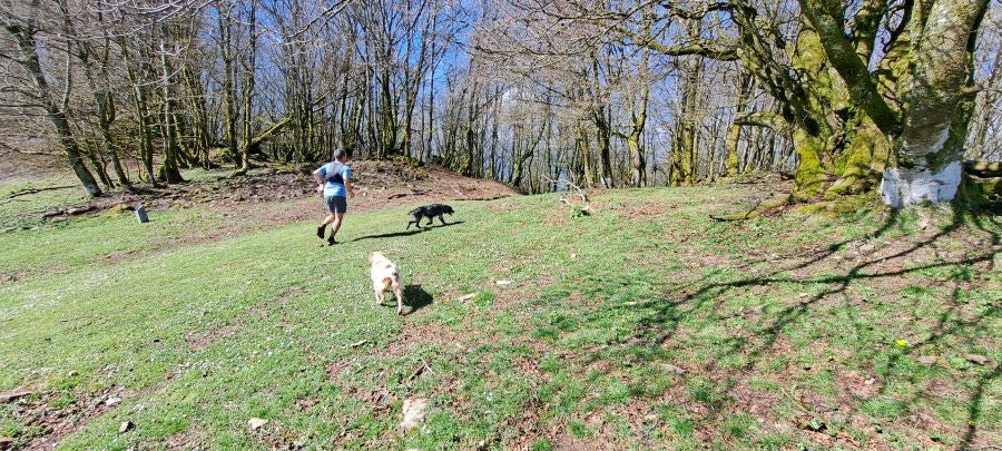 Irukurutzeta, siempre sorprendente