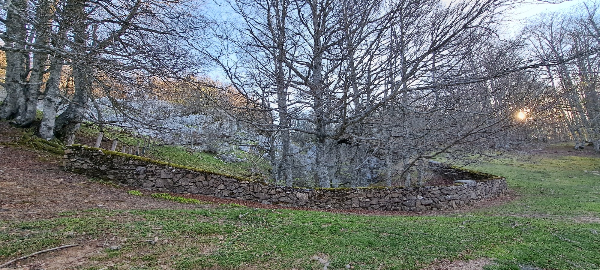 Errenaga, la discreta cima de la Sierra de Aralar