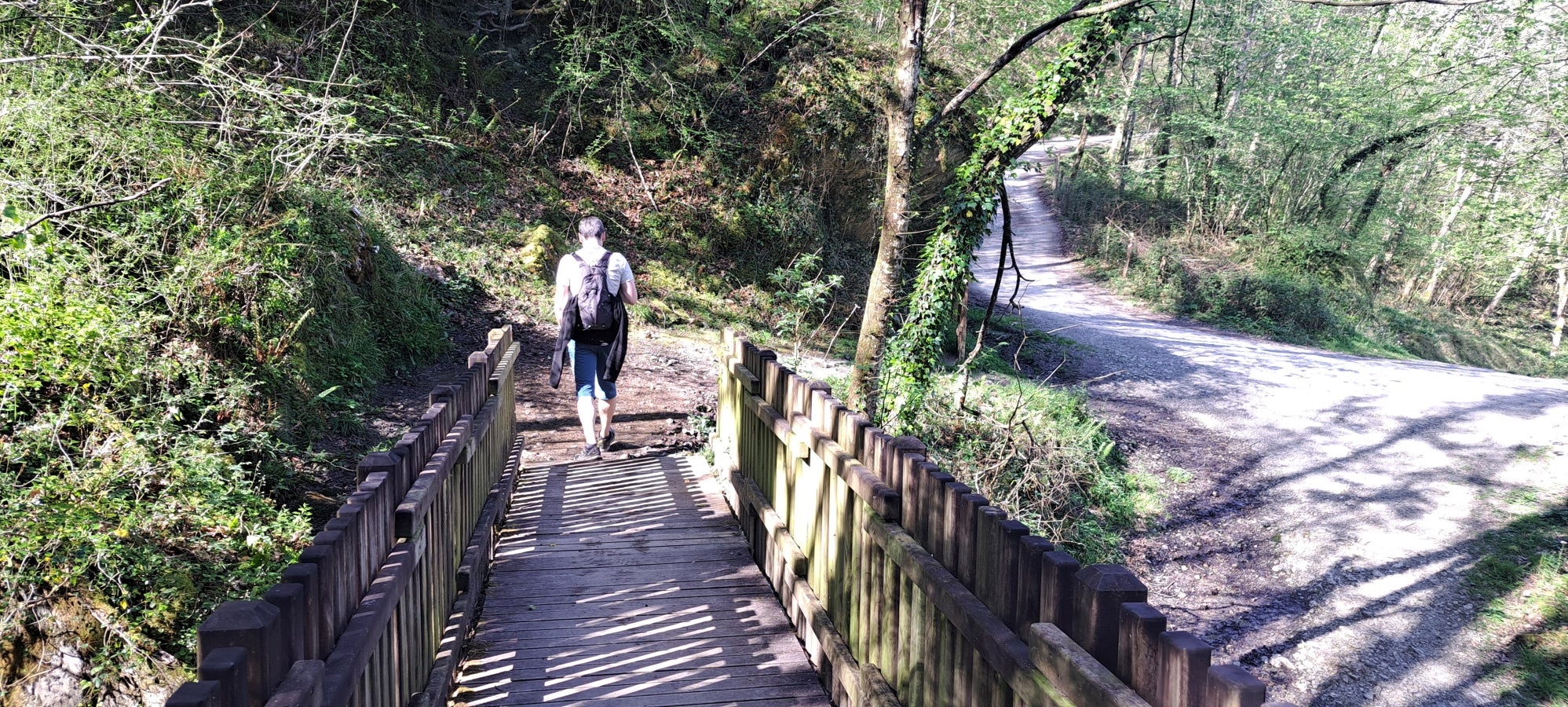 Errenaga, la discreta cima de la Sierra de Aralar