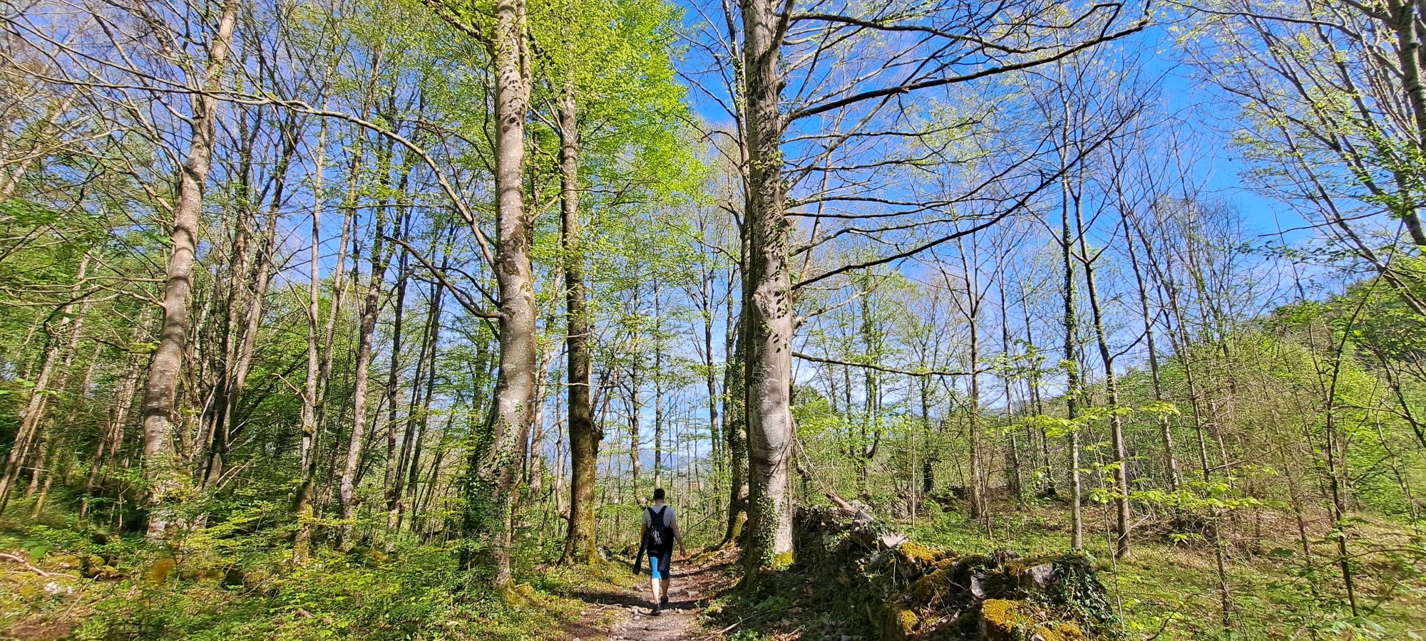 Errenaga, la discreta cima de la Sierra de Aralar