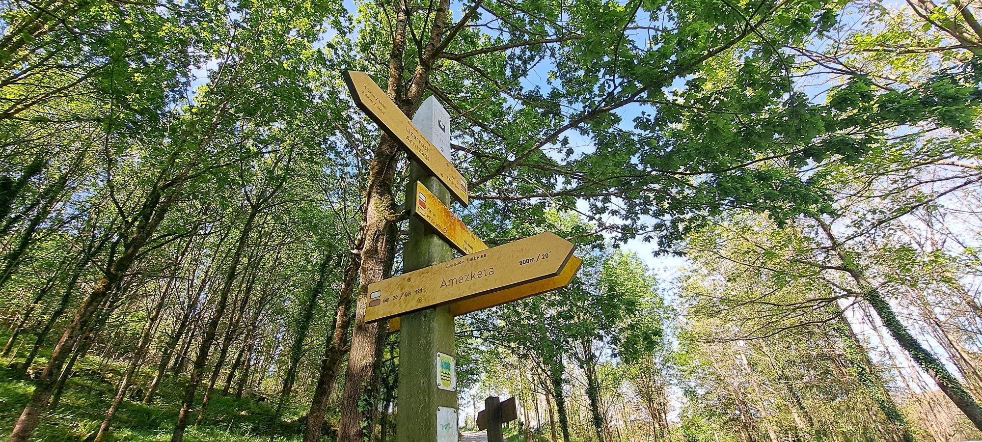 Errenaga, la discreta cima de la Sierra de Aralar