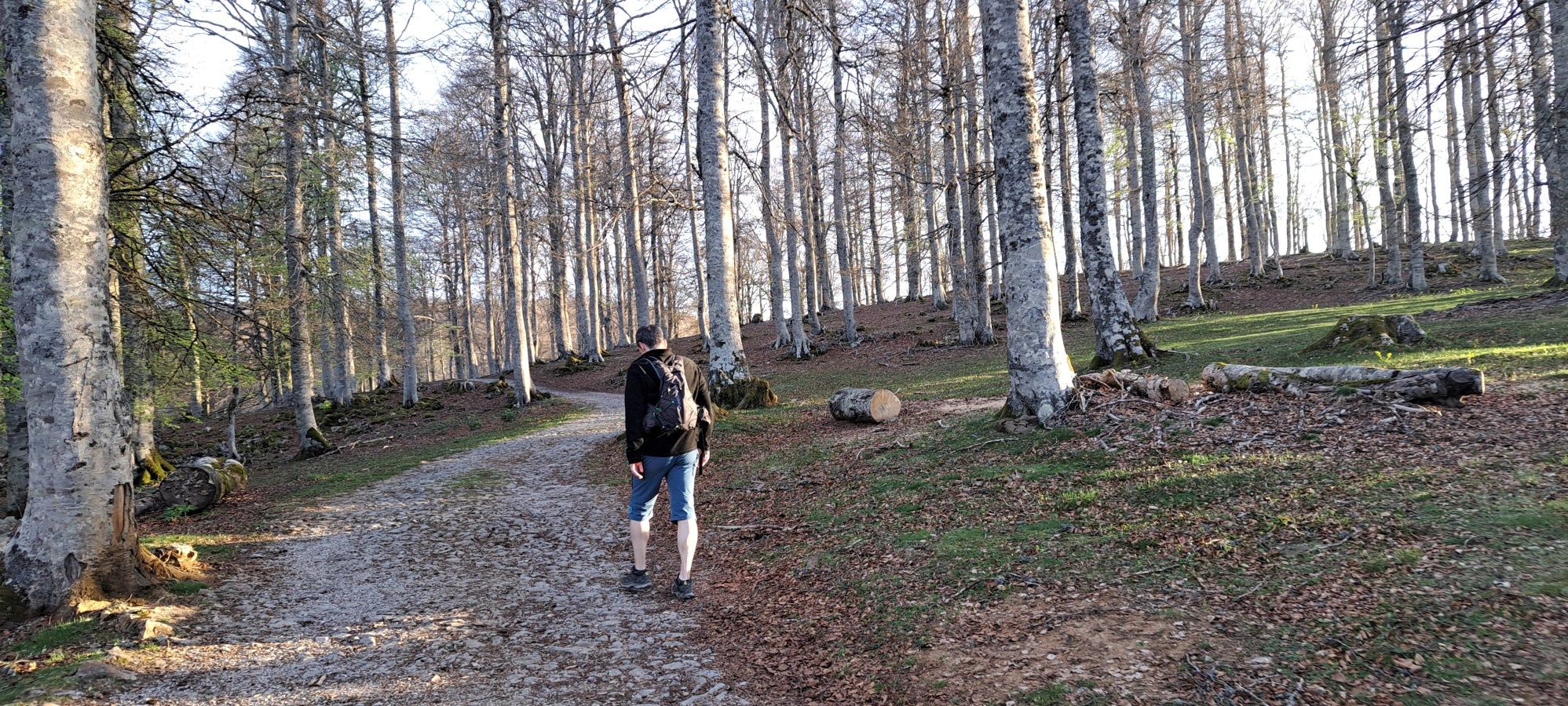 Errenaga, la discreta cima de la Sierra de Aralar