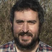 Imagen - «Creemos que la lagartija de Urgull puede ser singular por su morfología, por su tamaño y color»